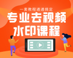 专业去视频水印教程 静态水印、动态水印、文字水印、图片水印一套教程通通搞定-599资源坊