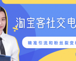 某站内部课程:淘宝客社交电商裂变,精准引流和粉丝裂变模式详解(共6节视频)-599资源坊