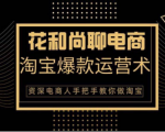 花和尚·天猫淘宝爆款运营实操技术,手把手教你月销万件的爆款打造技巧-599资源坊