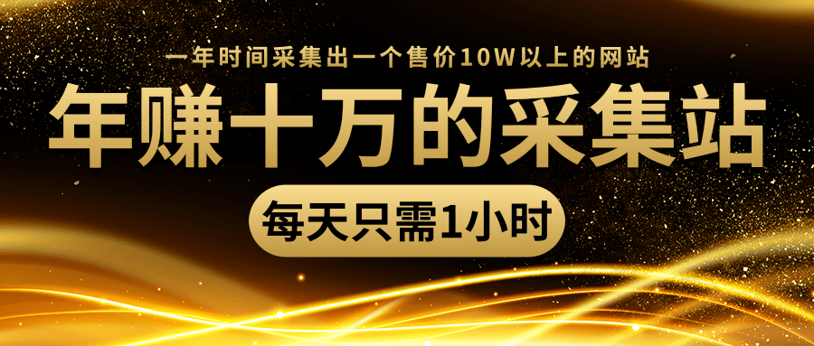 年赚十万的采集站，每天却只需要1小时，一年时间采集出一个售价10W以上的网站-599资源坊