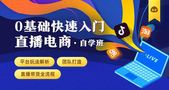 0基础快速入门直播电商课程：直播平台玩法解析-团队打造-带货全流程等环节-599资源坊