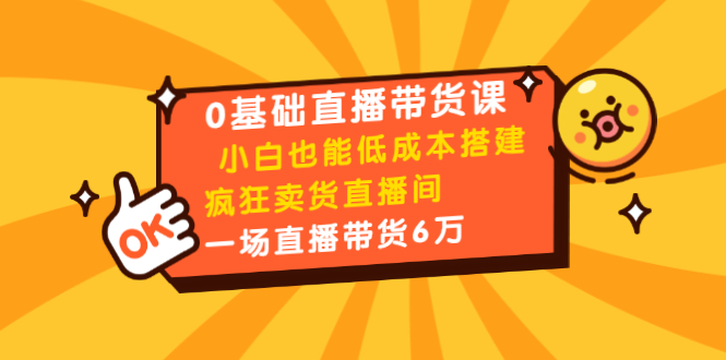 0基础直播带货课：小白也能低成本搭建疯狂卖货直播间：1场直播带货6万-599资源坊