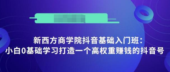 抖音基础入门班：小白0基础学习打造一个高权重赚钱的抖音号-599资源坊