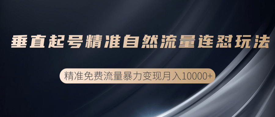 垂直起号精准自然流量连爆玩法，精准引流暴力变现月入10000+-599资源坊