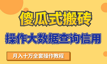 搬砖操作大数据查询信用项目赚钱教程，祝你快速月入6万-599资源坊
