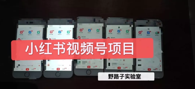 野路子小红书视频号1.0项目，直接上手操作就能赚钱的视频号项目-599资源坊