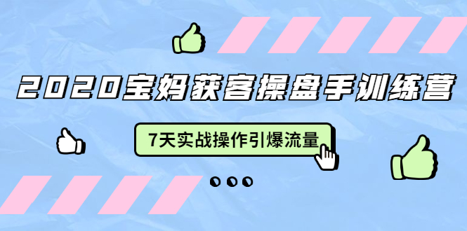 2020宝妈获客操盘手训练营：7天实战操作引爆 母婴、都市、购物宝妈流量-599资源坊