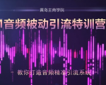 黄岛主·FM音频引流特训营2.0:独家引流模式,单账号50W+播放量,轻松变现-599资源坊