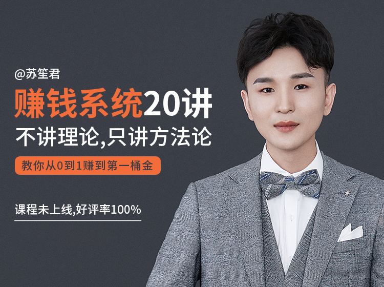 苏笙君的赚钱系统20课 教你从0到1赚到你的第一桶金（不讲理论，只讲方法论）-599资源坊