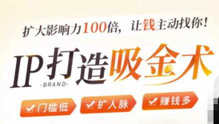 IP打造吸金术：0基础0资源，也能扩大影响力100倍，让钱主动找你！-599资源坊