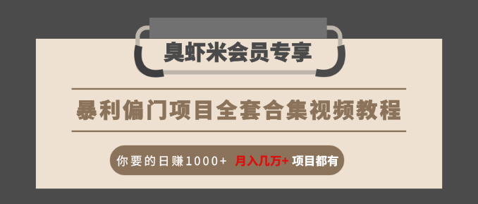 暴利偏门项目全套合集视频教程：你要的日赚1000+月入几万+项目都有-599资源坊