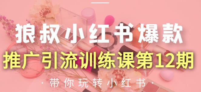 狼叔小红书爆款推广引流训练课第12期，手把手带你玩转小红书-599资源坊