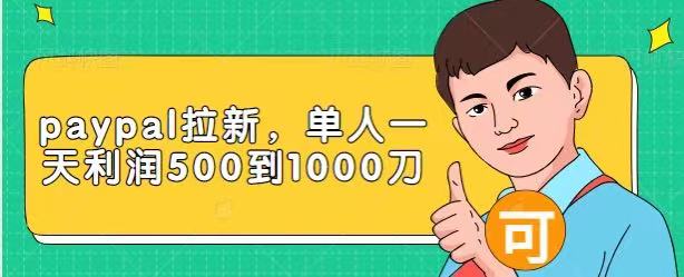 Paypal拉新赚美刀项目，单人一天利润500-1000刀【视频课程】-599资源坊