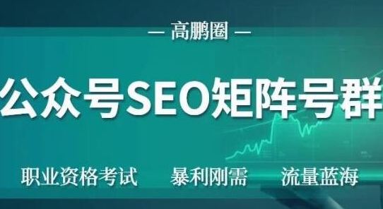 高鹏圈公众号SEO矩阵号群，实操20天纯收益25000+，普通人都能做-599资源坊
