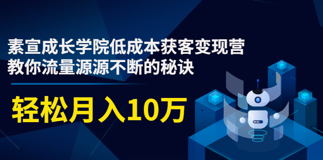素宣成长学院低成本获客变现营，教你流量源源不断的秘诀，轻松月入10万-599资源坊