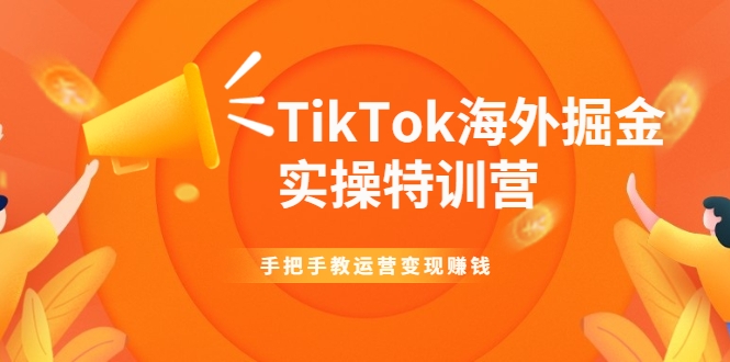 TikTok海外掘金实操特训营：手把手教运营变现赚钱-599资源坊