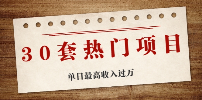 30套热门项目：单日最高收入过万 (网赚项目、朋友圈、涨粉套路、抖音、快手)等-599资源坊