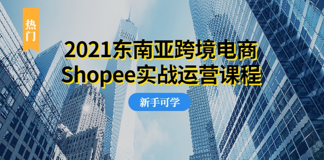 2021东南亚跨境电商Shopee实战运营课程，0基础、0经验、0投资的副业项目-599资源坊