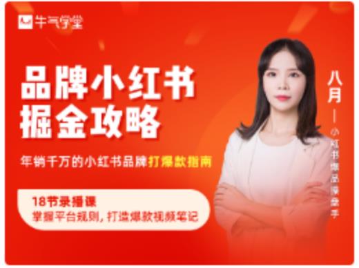 品牌小红书掘金攻略，年销千万的小红书品牌打爆款指南-599资源坊