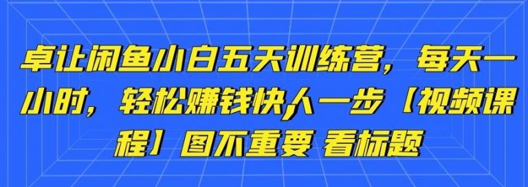 卓让闲鱼小白五天训练营，每天一小时，轻松赚钱快人一步-599资源坊