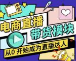 大鹏·电商直播带货课,系统学习直播带货各环节技巧和套路-599资源坊