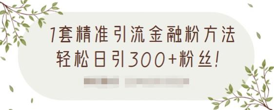 1套精准引流金融粉方法，轻松日引300+粉丝-599资源坊