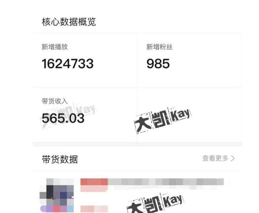 大凯进阶圈新玩法之拼多多视频玩法，利润大概一个号一天能有500~1500的左右!-599资源坊