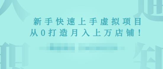 2022年虚拟项目实战指南，新手从0打造月入上万店铺-599资源坊