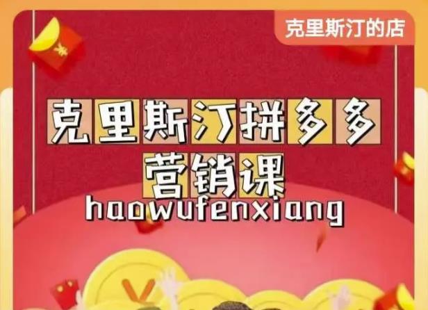 克里斯汀拼多多运营课，适合小白初涉平台，低成本入门-599资源坊