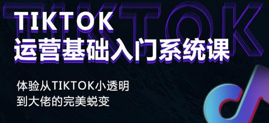 Tiktok实操进阶课程，体验从tiktok小透明到大佬的完美蜕变-599资源坊