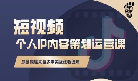 抖音短视频个人ip内容策划实操课，真正做到普通人也能实行落地-599资源坊