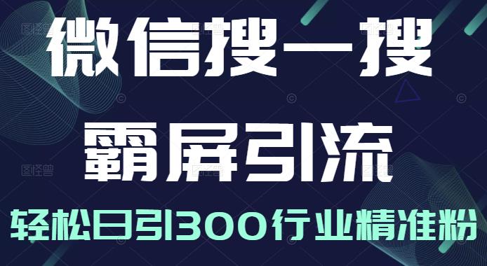 微信搜一搜霸屏引流课，打造被动精准引流系统，轻松日引300行业精准粉-599资源坊