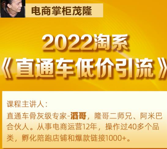 茂隆2022直通车低价引流玩法，教大家如何低投入高回报的直通车玩法-599资源坊