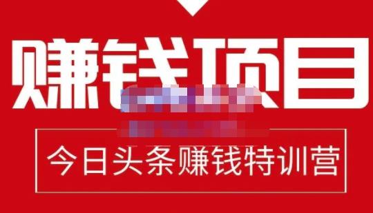 懒人领域·今日头条项目玩法，头条中视频项目，单号收益在50—500可批量-599资源坊