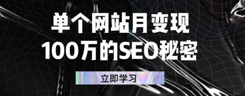 单个网站月变现100万的SEO秘密，百分百做出赚钱站点-599资源坊