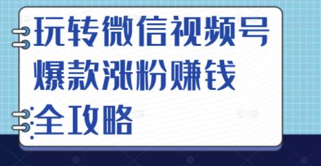 玩转微信视频号爆款涨粉赚钱全攻略，让你快速抓住流量风口，收获红利财富-599资源坊