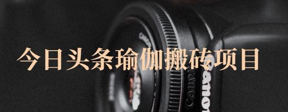 猎人社区·今日头条瑜伽搬砖项目，单号一天几十收入，可以批量操作！-599资源坊
