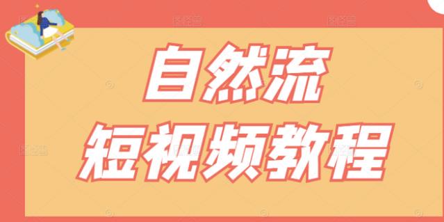 【瑶瑶短视频】自然流短视频教程，让你更快理解做自然流视频的精髓-599资源坊