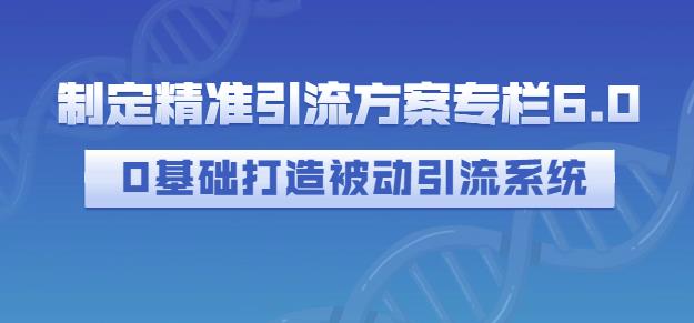 制定精准引流方案专栏6.0，0基础打造被动引流系统-599资源坊