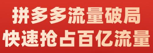阿杰·拼多多流量破局:如何打黑标，爆款的思路，拼多多流量框架，快速抢占百亿流量-599资源坊