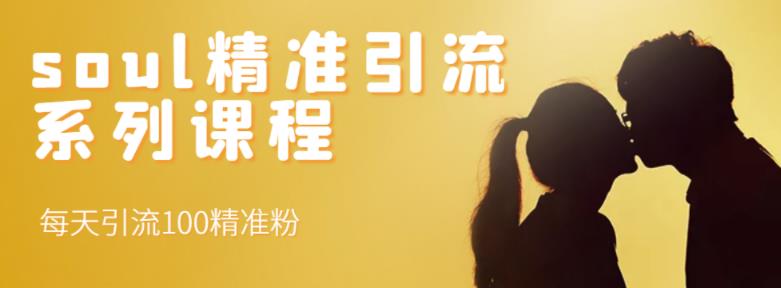 soul精准引流系列课程，每天引流100精准粉-599资源坊