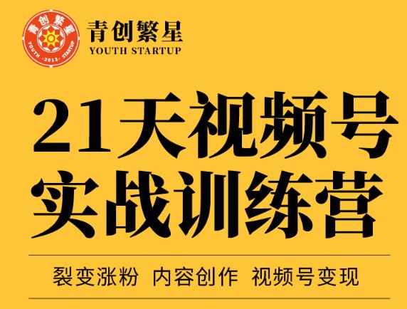 张萌21天视频号实战训练营，裂变涨粉、内容创作、视频号变现 价值298元-599资源坊