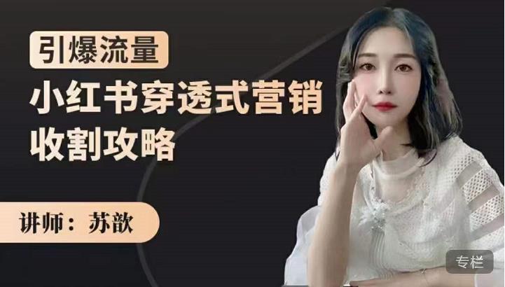 苏歆：小红书穿透式营销收割攻略，引爆流量，助你玩转小红书-599资源坊