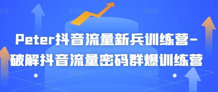 Peter抖音流量新兵训练营-破解抖音流量密码群爆训练营（新兵）-599资源坊