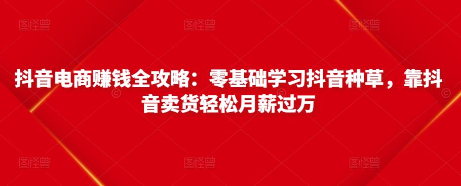 抖音电商赚钱全攻略：零基础学习抖音种草，靠抖音卖货轻松月薪过万-599资源坊