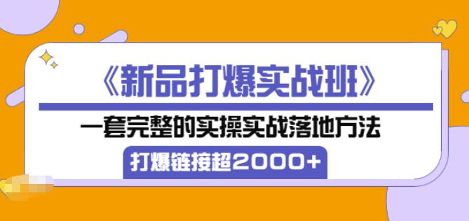 凌童《新品打爆实战班》,一套完整的实操实战落地方法，打爆链接超2000+（28节课)-599资源坊