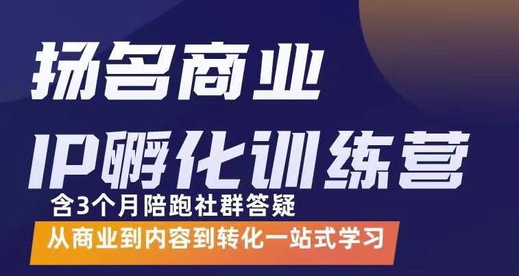 杨名商业IP孵化训练营，从商业到内容到转化一站式学 价值5980元-599资源坊