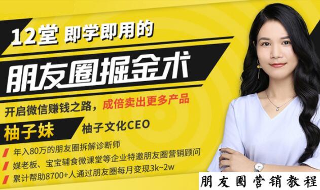 【营销必学】12堂学之即用的朋友圈掘金术：开启你的副业赚钱之路-599资源坊