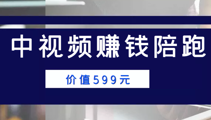 中视频赚钱陪跑，卖中视频账户赚钱收益陪跑项目（价值599元）-599资源坊