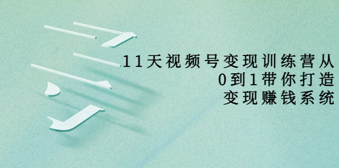 11天视频号变现训练营，从0到1打造变现赚钱系统（价值398元）-599资源坊